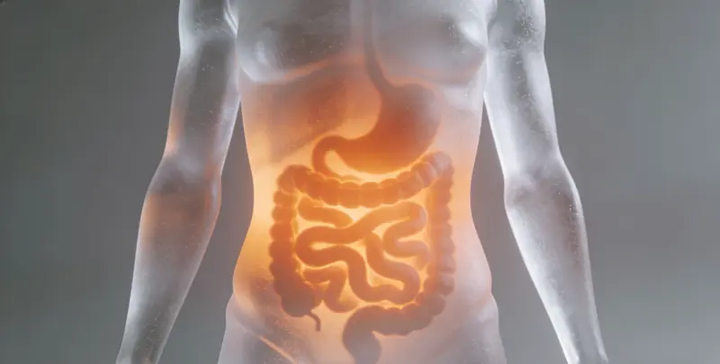 铜川胃癌全面用药基因检测（组织）图片1